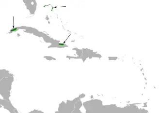 Description de l'image Dendroica pityophila map.svg.