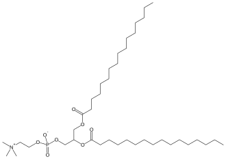 Image illustrative de l’article 1,2-Dipalmitoylphosphatidylcholine