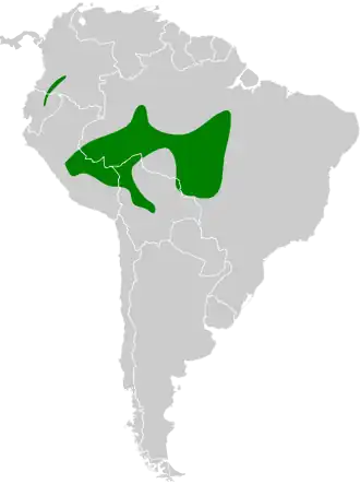 Description de l'image Drymophila devillei map.svg.