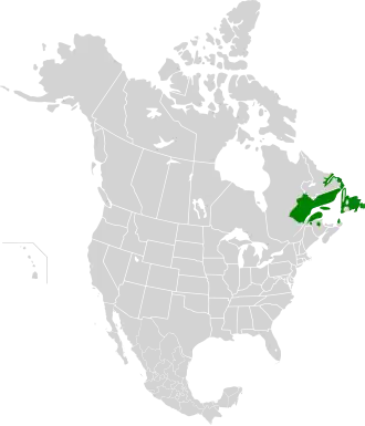 Description de l'image Eastern Canadian Forests map.svg.