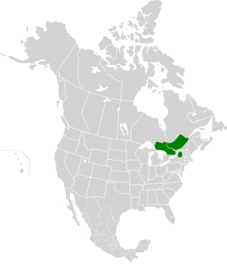 Description de l'image Eastern forest-boreal transition map.svg.
