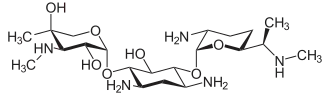 Image illustrative de l’article Gentamicine