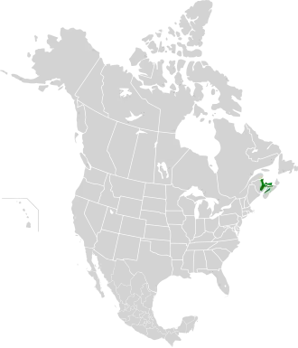 Description de l'image Gulf of St. Lawrence lowland forests map.svg.