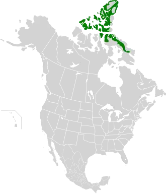 Description de l'image High Arctic tundra map.svg.