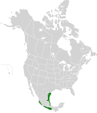 Description de l'image Icterus graduacauda map.svg.