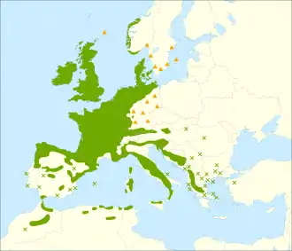 Description de l'image Ilex aquifolium range.svg.