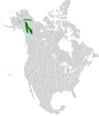 Description de l'image Interior Yukon-Alaska alpine tundra map.svg.