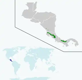 Description de l'image Lampornis calolaemus map.svg.