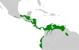 Description de l'image Lepidocolaptes souleyetii map.svg.
