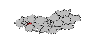 Canton de Flers-Sud