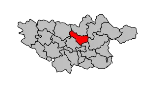 Canton de Roquecourbe