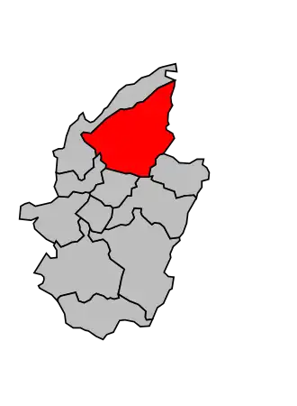 Canton de Senones