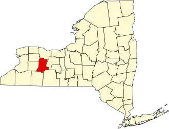 Localisation de Comté de Livingston(en) Livingston County