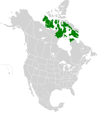 Description de l'image Middle Arctic tundra map.svg.