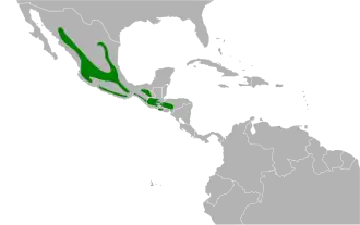 Description de l'image Myadestes occidentalis map.svg.