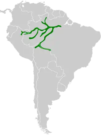 Description de l'image Myrmotherula assimilis map.svg.