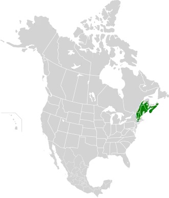 Description de l'image New England-Acadian forests map.svg.