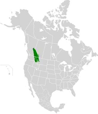 Description de l'image North Central Rockies forests map.svg.