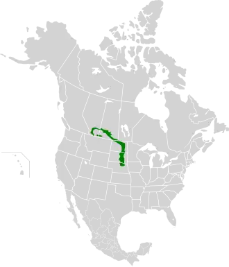 Description de l'image Northern Mixed Grasslands.svg.