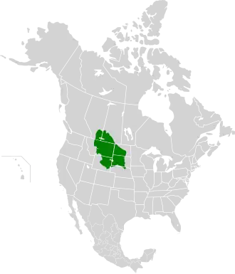 Description de l'image Northern short grasslands map.svg.