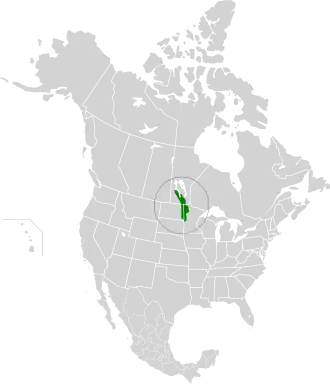Description de l'image Northern tall grasslands map.svg.