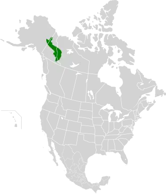 Description de l'image Ogilvie-MacKenzie alpine tundra map.svg.