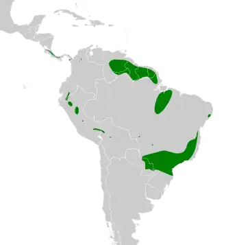 Description de l'image Oxyruncus cristatus map.svg.