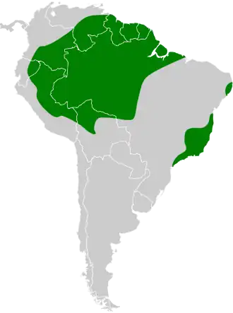 Description de l'image Pachyramphus marginatus map.svg.