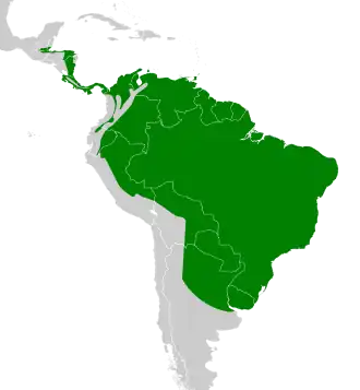 Description de l'image Pachyramphus polychopterus map.svg.