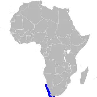 Description de l'image Phalacrocorax neglectus map.svg.