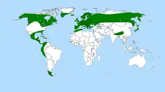 Description de l'image Pinguicula distribution.svg.