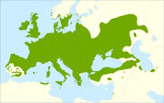 Description de l'image Prunus spinosa range.svg.