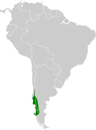 Description de l'image Scelorchilus rubecula map.svg.