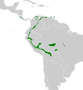 Description de l'image Sclerurus albigularis map.svg.