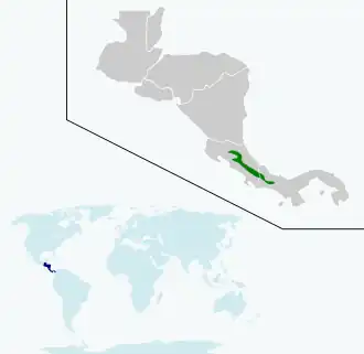 Description de l'image Selasphorus flammula map.svg.