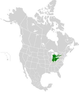 Description de l'image Southern Great Lakes forests map.svg.