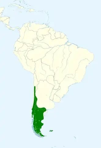 Description de l'image Spinus barbatus map.svg.