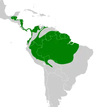 Description de l'image Terenotriccus erythrurus map.svg.