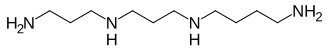 Image illustrative de l’article Thermospermine
