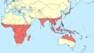 Description de l'image Tholymis tillarga distribution map.svg.