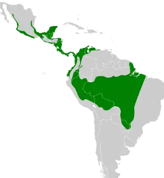 Description de l'image Tityra semifasciata map.svg.