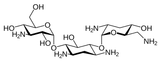 Image illustrative de l’article Tobramycine