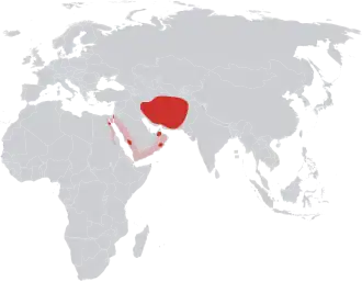 Description de l'image Vulpes cana (distribution).svg.