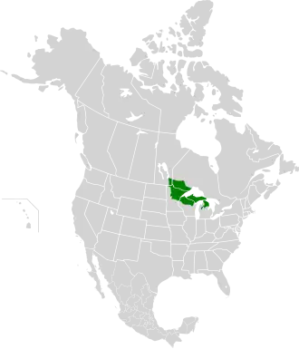 Description de l'image Western Great Lakes forests map.svg.