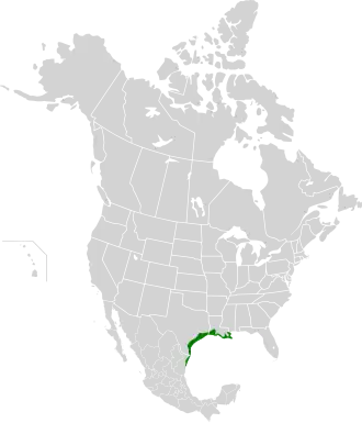 Description de l'image Western Gulf Coastal Grasslands map.svg.