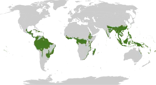 Description de l'image Biome_map_01.svg.