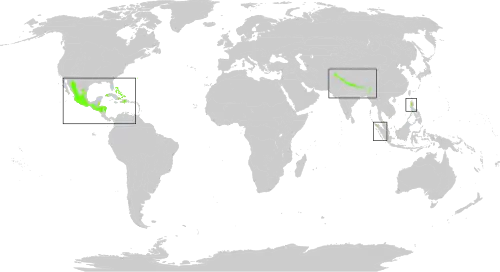 Description de l'image Biome_map_03.svg.