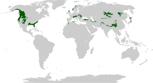 Description de l'image Biome_map_05.svg.
