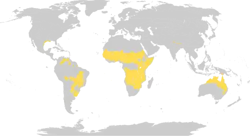 Description de l'image Biome_map_07.svg.