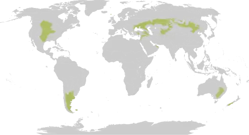 Description de l'image Map of temperate grasslands, savannas and shrublands biomes.svg.